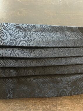 Pronto Uomo Silk Paisley Cummerbund